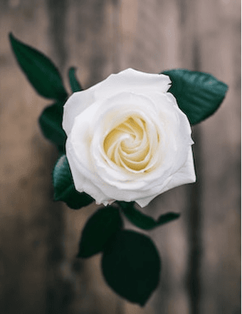 Emma Joyce (Haskell) Cates Obituary