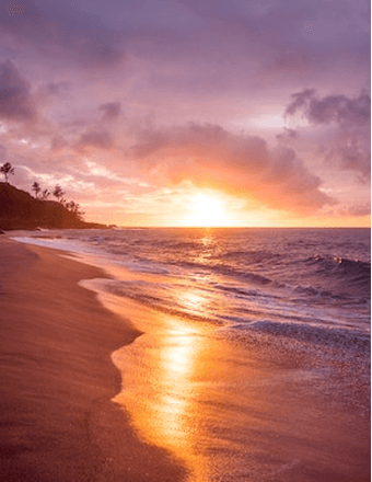 Lisa Ann Brown Obituary